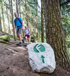 Der Findling_Foto Oberpfälzer Wald_Thomas Kujat